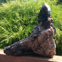 Load image into Gallery viewer, SOLD OUT ~ Reserved for Kerby ~ Payment 5 of 24 ~ Large 10 lb. ~ Black Morion Quartz Crystal Cluster ~ 10&quot; Tall ~ Big Points