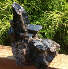 Load image into Gallery viewer, SOLD OUT ~ Reserved for Kerby ~ Payment 5 of 24 ~ Large 10 lb. ~ Black Morion Quartz Crystal Cluster ~ 10&quot; Tall ~ Big Points