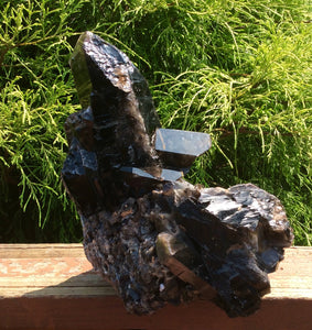 SOLD OUT ~ Reserved for Kerby ~ Payment 5 of 24 ~ Large 10 lb. ~ Black Morion Quartz Crystal Cluster ~ 10" Tall ~ Big Points
