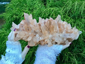 SOLD OUT ~ Reserved for M ~ Payment 3 of 30 ~ Large  11 lb. ~ Ancient Lemurian Frosted Pink Quartz Crystal Cluster ~ 14" Long
