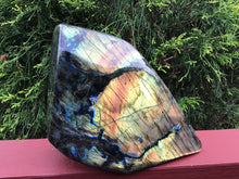 Load image into Gallery viewer, SOLD OUT ~ Reserved for Dana ~ Payment 5 of 12 ~ Labradorite Large 11 lb. Crystal Cluster ~ Flashiest Gold and Blue ~ 9&quot; Tall ~
