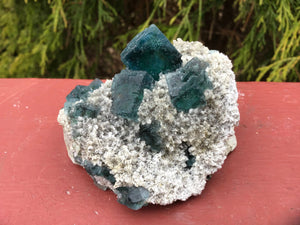 Fluorite Crystal Large 4.oz. Cubic Cluster ~  2 1/2“ Long ~ Rare Indigo Blue Color On White Ancient Matrix ~ Stunning Reiki, Altar, Display