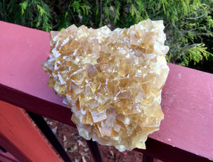 Calcite Crystal 1 Lb. 15 oz. Cluster ~ 5" Long ~ Deep Yellow Golden Translucent Crystals ~ Sacred Geometry Cubic Formation ~ Gem Quality