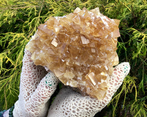 Calcite Crystal 1 Lb. 15 oz. Cluster ~ 5" Long ~ Deep Yellow Golden Translucent Crystals ~ Sacred Geometry Cubic Formation ~ Gem Quality