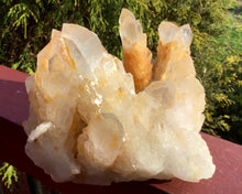 Load image into Gallery viewer, Elestial Quartz Crystal Large 5 Lb. Cluster ~ 5&quot; Tall ~ Big Tibetan Golden Healer ~ Natural Sparkling Gold Crystal Points ~ Free Shipping