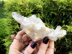 Clear Quartz Crystal Cluster Big 11 oz. Sparkling Display Specimen ~ 6" Long ~ Large Water Clear Multi Points ~ Fast & Free Shipping