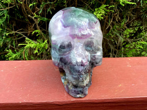 Fluorite Crystal Large 1 Lb. 12 oz. Skull ~ 3" Tall ~ Hand Carved ~ Translucent Rainbow Purple Crystal Sculpture ~ Free Standing ~ Fast Ship
