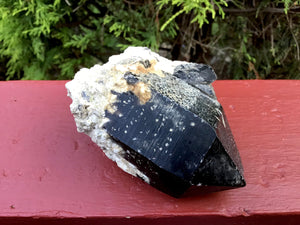 Black Morion Quartz Large 10 oz. Crystal Point ~ 3 1/2" Long ~ Big Natural Jet Black Point ~ White Feldspar Inclusions ~ Massive Specimen