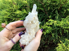 Load image into Gallery viewer, Clear Quartz Crystal Cluster Big 11 oz. Sparkling Display Specimen ~ 6&quot; Long ~ Large Water Clear Multi Points ~ Fast &amp; Free Shipping