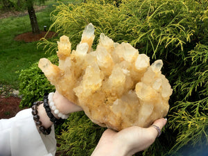 SOLD OUT ~ Reserved for Cristal ~ Payment 2 of 17 ~ Elestial Quartz Crystal Large 9 Lb. Cluster ~ 9" Long ~ Big Tibetan Golden Healer