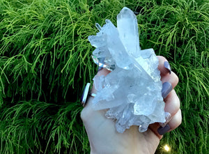 Clear Quartz Crystal Large 8 oz. Cluster ~ 4" Long ~ Ultra Sparkling Water Clear Points ~ Chlorite Inclusions ~ Reiki, Yoga, Room Display