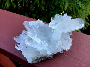 Clear Quartz Crystal Large 8 oz. Cluster ~ 4" Long ~ Ultra Sparkling Water Clear Points ~ Chlorite Inclusions ~ Reiki, Yoga, Room Display