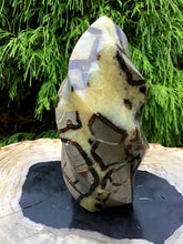 Load image into Gallery viewer, SOLD OUT ~ Reserved for Sharon ~ Payment 5 of 5 ~ Septarian Dragon Stone Large 2 Lb. 9 oz. Flame ~ 6&quot; Tall ~ Sparkling Crystal Display