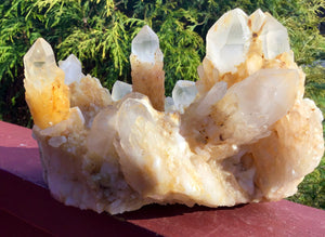 Elestial Quartz Crystal Large 5 Lb. Cluster ~ 5" Tall ~ Big Tibetan Golden Healer ~ Natural Sparkling Gold Crystal Points ~ Free Shipping