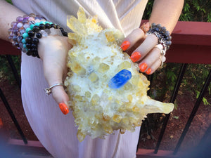 Aura Druzy Cactus Crystal Quartz Large  2 Lb. 7 oz. Cluster ~ 8&quot; Long ~ Golden Sunshine Yellow  ~ Sparkling Blue Point Phantom Inclusions