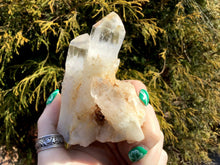 Load image into Gallery viewer, Elestial Lemurian Quartz Big 8 oz. Cluster ~ 3&quot; Tall ~ Stunning Long Frosted Clear Points ~ Home Décor, Altar, Reiki, Rare Crystal Display
