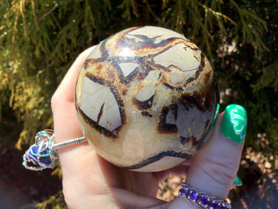 Septarian Dragon Stone Sphere Big 11 oz. Crystal Ball ~ 2
