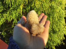 Load image into Gallery viewer, Spirit Cactus Quartz Crystal 2.8 oz. Cluster ~ 2&quot; Tall Golden Healer Druzzy Coated ~ Sparkly Natural Mineral Specimen ~ Fast &amp; Free Shipping