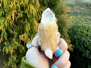 Elestial Quartz Crystal Big 4.7 oz. Cluster ~ 3 1/2" Long ~ Natural Tibetan Golden Healer ~ Sparkling Clear Golden Crystal Cascading Points