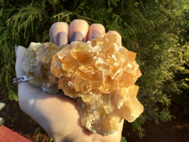 Yellow Calcite Clear Crystal 1 Lb. Cluster ~ 4