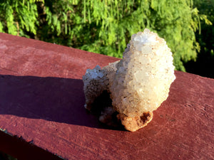 Spirit Cactus Quartz Crystal 2.8 oz. Cluster ~ 2" Tall Golden Healer Druzzy Coated ~ Sparkly Natural Mineral Specimen ~ Fast & Free Shipping