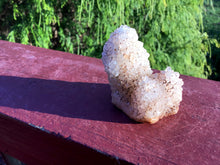 Load image into Gallery viewer, Spirit Cactus Quartz Crystal 2.8 oz. Cluster ~ 2&quot; Tall Golden Healer Druzzy Coated ~ Sparkly Natural Mineral Specimen ~ Fast &amp; Free Shipping