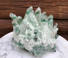 Load image into Gallery viewer, Aura Phantom Cactus Quartz Crystal Large 8 Lb. Cluster ~ 8&quot; Long ~ Sparkling Green Goddess Phantom Inclusions ~ Free &amp; Fast Shipping