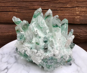 Aura Phantom Cactus Quartz Crystal Large 8 Lb. Cluster ~ 8" Long ~ Sparkling Green Goddess Phantom Inclusions ~ Free & Fast Shipping
