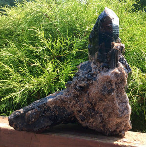 SOLD OUT ~ Reserved for Kerby ~ Payment 5 of 24 ~ Large 10 lb. ~ Black Morion Quartz Crystal Cluster ~ 10" Tall ~ Big Points
