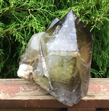 Load image into Gallery viewer, Smokey Citrine Quartz Crystal Large 22 lb. Generator ~ 11&quot; Tall ~ Polished Points ~ Crystal Pyramid ~ Sparkling Inclusions ~ Free Standing