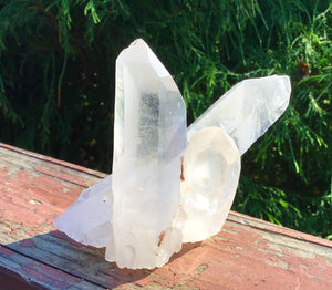 SOLD OUT ~ Reserved for J ~ Payment 3 of 7 ~ Large 10 oz. ~ Ancient Lemurian Frosted Quartz Crystal Cluster ~ 3 1/2" Tall ~ Triple Points