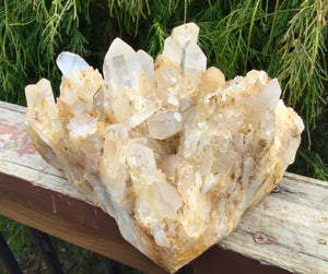 Elestial Crystal Quartz Large 7 Lb. 14 oz. Golden Healer Cluster ~ 8" Long ~ Big Sparkling Points ~ Meditation Display ~ Fast Free Shipping