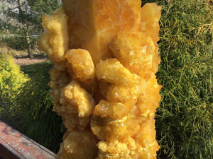 SOLD OUT ~ Reserved for Nikki ~ Payment 11 of 30 ~ Large 60 lb. ~ Aura Spirit Quartz Crystal Generator Cluster ~ 24" Tall ~ Bright Sunshine