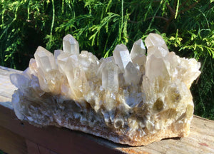 SOLD OUT ~ Reserved for J ~ Payment 2 of 11 ~ 2 Lb. 13 oz. ~ Large Clear Citrine Elestial Quartz Crystal Cluster ~7 " Long ~