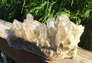 SOLD OUT ~ Reserved for J ~ Payment 2 of 11 ~ 2 Lb. 13 oz. ~ Large Clear Citrine Elestial Quartz Crystal Cluster ~7 " Long ~