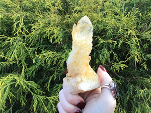 Elestial Quartz Crystal Cluster Large 6 oz. Wand ~ 4" Long ~ Big Natural Tibetan Golden Healer ~ Sparkling Gold Crystal Cascading Points