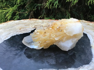Elestial Quartz Crystal Cluster Large 6.5 oz. Wand ~ 4" Long ~ Natural Tibetan Golden Healer ~ Sparkling Gold Inclusions ~ Cascading Points