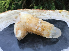Load image into Gallery viewer, Elestial Quartz Crystal Cluster Large 6.5 oz. Wand ~ 4&quot; Long ~ Natural Tibetan Golden Healer ~ Sparkling Gold Inclusions ~ Cascading Points