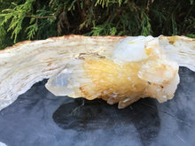 Load image into Gallery viewer, Elestial Quartz Crystal Cluster Large 6.5 oz. Wand ~ 4&quot; Long ~ Natural Tibetan Golden Healer ~ Sparkling Gold Inclusions ~ Cascading Points