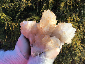 Elestial Clear Quartz Crystal Large 3 lb. Golden Healer Cluster ~ 5" Long ~ Rare Sparkling Meditation Stone ~ Big Display ~ Fast Shipping