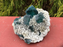 Load image into Gallery viewer, Fluorite Crystal Large 4.oz. Cubic Cluster ~  2 1/2“ Long ~ Rare Indigo Blue Color On White Ancient Matrix ~ Stunning Reiki, Altar, Display
