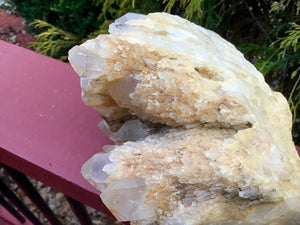 Elestial Golden Healer Large 2 Lb. 15 oz. Cluster ~ 4" Tall ~ Rare Frosted Multi Points ~ Stunning Crystal Quartz Display ~ Free Shipping