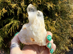 Elestial Lemurian Quartz Big 8 oz. Cluster ~ 3" Tall ~ Stunning Long Frosted Clear Points ~ Home Décor, Altar, Reiki, Rare Crystal Display