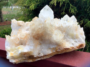 Elestial Crystal Quartz Large 10 Lb. 14 oz. Golden Healer Cluster ~ 10" Long ~ Big Sparkling Points ~ Meditation Display ~ Free Shipping