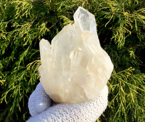 Elestial Lemurian Frosted Quartz Large 1 lb. Cluster ~ 3" Tall ~ Stunning Long Big Points ~ Home Décor, Altar, Reiki, Rare Crystal Display