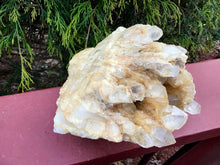 Load image into Gallery viewer, Elestial Golden Healer Large 2 Lb. 15 oz. Cluster ~ 4&quot; Tall ~ Rare Frosted Multi Points ~ Stunning Crystal Quartz Display ~ Free Shipping