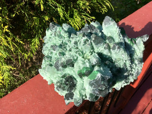 Cactus Quartz Crystal Large 5 lb. 6 oz. Cluster ~ 5" Tall ~ Sparkling Emerald Green Phantom Aura Druzzy ~ Reiki, Feng Shui, Altar Display