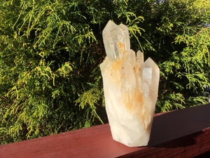 Elestial Golden Lemurian Frosted Quartz Large 1 lb. 10 oz. Cluster ~ 6" Tall ~ Stunning Long Points ~ Décor, Altar, Reiki, Crystal Display