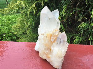 Elestial  Quartz 8 oz.  Crystal ~ 3" Tall ~ Golden Healer ~ Frosted Points Sparkling Inclusions ~ Reiki Meditation Handheld  ~ Fast Shipping
