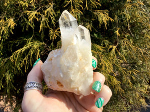Elestial Lemurian Quartz Big 8 oz. Cluster ~ 3" Tall ~ Stunning Long Frosted Clear Points ~ Home Décor, Altar, Reiki, Rare Crystal Display
